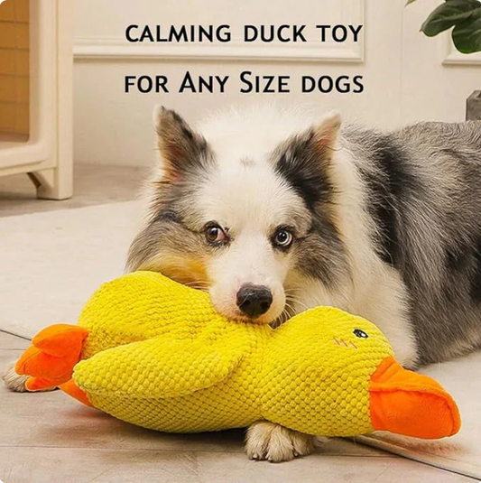 LAST DAY SALE-50%OFF calming Duck Toy